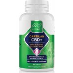 Altervet Cartilan CBD+ 60 g 40 tbl – Hledejceny.cz