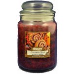 Airpure Fireside Glow 510 g – Zboží Dáma