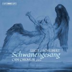 Franz Liszt - Liszt/Schubert Schwanengesang SACD – Hledejceny.cz