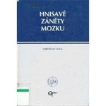 Hnisané záněty mozku - Kala Miroslav – Hledejceny.cz