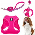Truelove Postroj + vodítko sada pro malého psa – Hledejceny.cz
