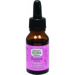 Sweet Home Orchidea e Vaniglia Orchidej a vanilka vonná esence 15 ml – Hledejceny.cz