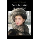 Kniha Anna Karenina L.N. Tolstoy