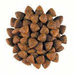 Royal Canin Veterinary Diet Dog Gastrointestinal Puppy 2,5 kg – Sleviste.cz