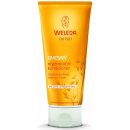 Weleda ovesný regenerační kondicionér pro suché a poškozené vlasy 200 ml