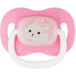 Canpol babies Bunny and Company šidítko silikon anatomické tyrkysová s pejskem – Sleviste.cz