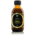 Zdravý Svet Liposomální B12 Forte 200 ml – Hledejceny.cz