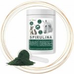 Dromy Spirulina 1200 g – Zboží Dáma