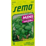 SEMO Bazalka pravá Mammolo Genovese