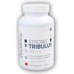 NutriWorks Tribulus Terrestris 750 120 kapslí – Zboží Mobilmania