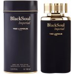 Ted Lapidus Black Soul Imperial toaletní voda pánská 100 ml – Hledejceny.cz