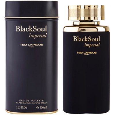 Ted Lapidus Black Soul Imperial toaletní voda pánská 100 ml