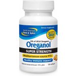 North American Herb & Spice Oreganové kapsle P73 Original Strength 120 kapslí – Hledejceny.cz