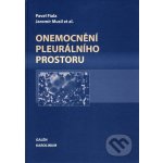 Onemocnění pleurálního prostoru – Hledejceny.cz