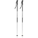 Blizzard Sport ski poles 2018/19 – Zbozi.Blesk.cz