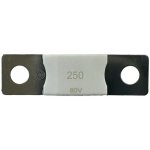Victron Energy MEGA pojistka 250A / 80V – Hledejceny.cz