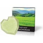 Dedra Vonný sójový EKO vosk do aromalampy Lemongrass 40 g – Hledejceny.cz