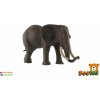Figurka Teddies Slon africký zooted