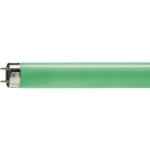 Philips TL-D 18W 17 zelená T8 G13 60cm 1800Lm Zářivka – Hledejceny.cz