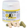 Vitamíny a doplňky stravy pro hlodavce Alfavet RodiCare Vita C 30 g