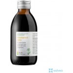 Dědek kořenář Novy Zlatobýlová směs ULK+ 200 ml – Hledejceny.cz