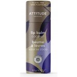 Bio Spectra přírodní balzám na rty attitude leaves bar s vůní kokosu 8,5 g – Hledejceny.cz