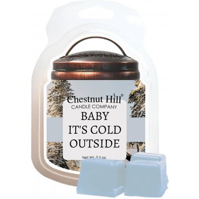 Chestnut Hill Candle Vonný Vosk Baby it's Cold Outside 105 g – Hledejceny.cz