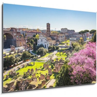 Skleněný obraz 1D - 100 x 70 cm - The aerial view of Roman Forum in Rome, Italy Letecký pohled na Římské fórum v Římě, Itálie – Hledejceny.cz