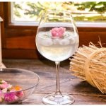 Cocoxim Kokosová voda lotosový květ 330 ml – Hledejceny.cz