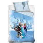 Carbotex povlečení Ledové království Frozen Pravé přátelství 40 x 60 cm 100 x 135 cm – Hledejceny.cz