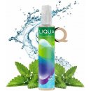 Příchuť pro míchání e-liquidu Ritchy Liqua Mix&Go Two Mints 12 ml
