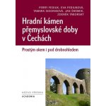Hradní kámen přemyslovské doby v Čechách - Ferry Fediuk – Hledejceny.cz