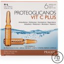 Praxis Proteoglicanos Vit C Plus Ampulky s vitamínem C 6 x 2 ml