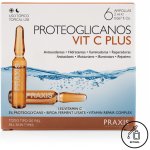 Praxis Proteoglicanos Vit C Plus Ampulky s vitamínem C 6 x 2 ml – Hledejceny.cz