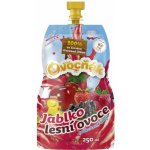 Ovocňák Mošt jablko lesní ovoce 250 ml – Zbozi.Blesk.cz