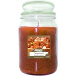 Airpure Gingerbread 510 g – Zboží Dáma