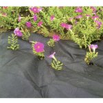 Garden Textílie H1101 1,0x10m, 100g/m2 – Zboží Dáma Garden Textílie H1101 1,0x10m, 100g/m2 – Zboží Dáma