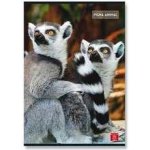 Pigna Školní sešit Animal A5 linkovaný – Hledejceny.cz