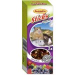 Avicentra Tyčinka Hlodavec lesní ovoce 2 x 60 g – Sleviste.cz