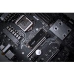 Crucial P3 1TB, CT1000P3SSD8 – Sleviste.cz