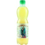 Stevikom Kombucha Meduňka 0,5 l – Hledejceny.cz