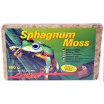 Lucky Reptile Sphagnum Moos rašeliník 100 g – Zboží Dáma