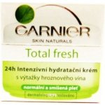 Garnier Essentials Intense 24h hydratační denní krém normální a smíšená 50 ml – Hledejceny.cz