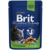 Brit Premium Cat Pouches kuřecí kousky pro kastrované kočky 100 g