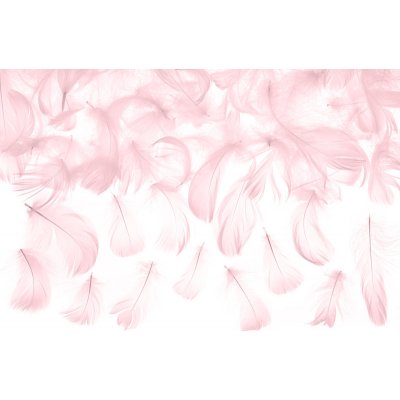 Dekorativní peříčka světle růžová 3g – Zboží Mobilmania