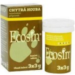 Ecosin chytrá houba tbl 5x3g – Zboží Dáma