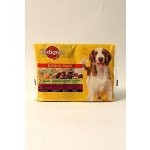 Pedigree Adult kuřecí & zelenina a hovězí & zelenina 4 x 100 g – Hledejceny.cz