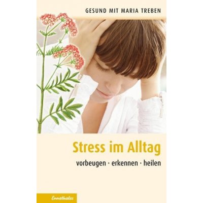 Stre im Alltag Treben Maria Paperback