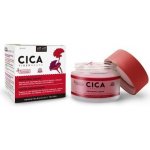 Diet Esthetic Cica Tigergrass Reparační pleťový krém 50 ml – Hledejceny.cz