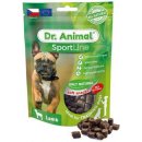 Dr. Animal Sportline jehněčí 100 g